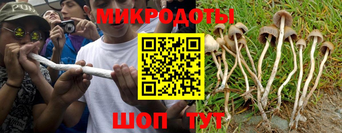 Галлюциногенные грибы Cubensis  Вход с VPN  Чебоксары 