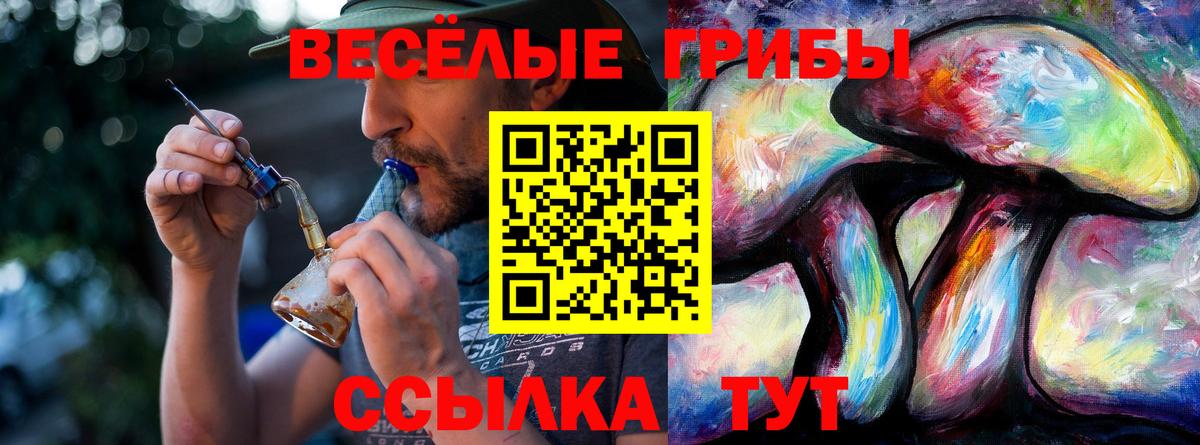 Галлюциногенные грибы GOLDEN TEACHER Чебоксары
